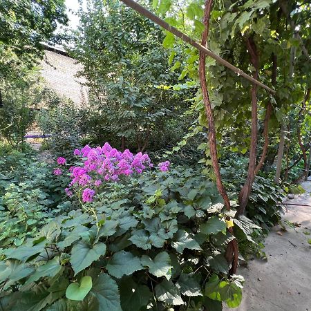 Lovely Home ออช ภายนอก รูปภาพ